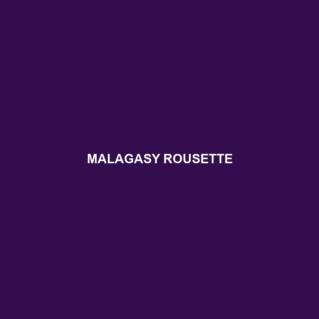 Malagasy Rousette