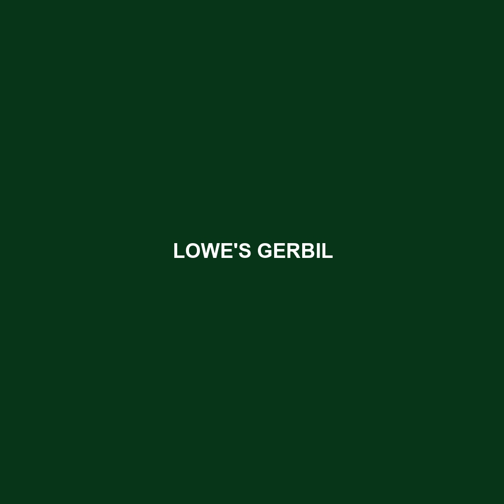 Lowe's Gerbil