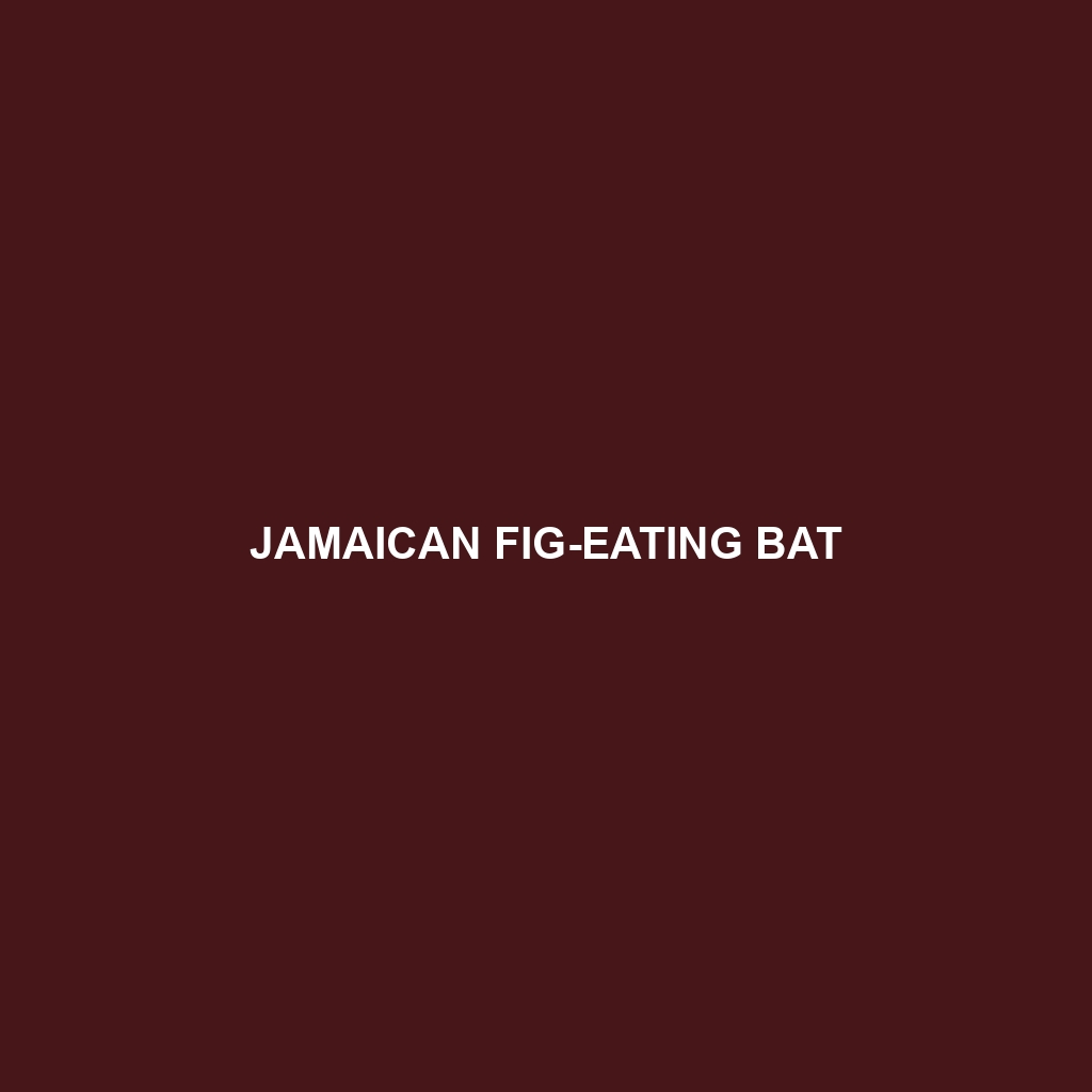 Jamaican Fig-eating Bat