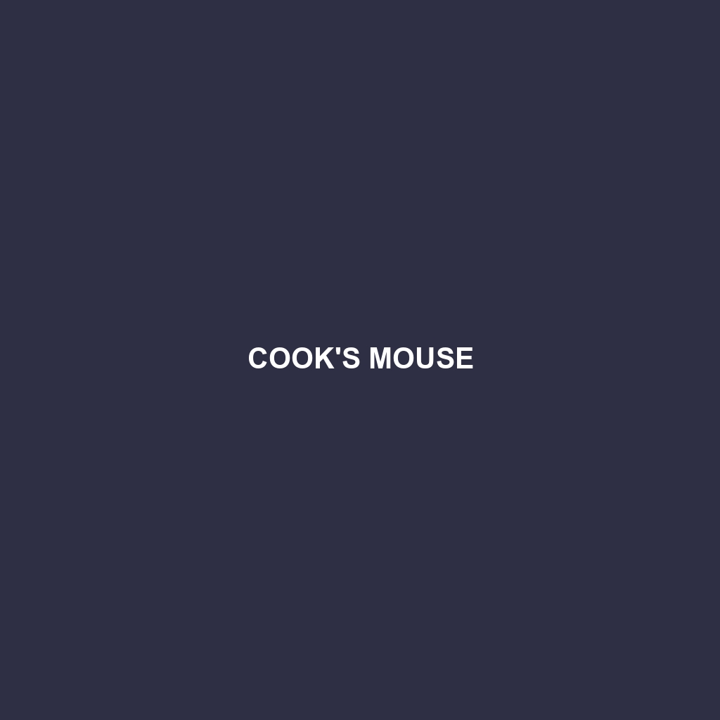 Cook's Mouse