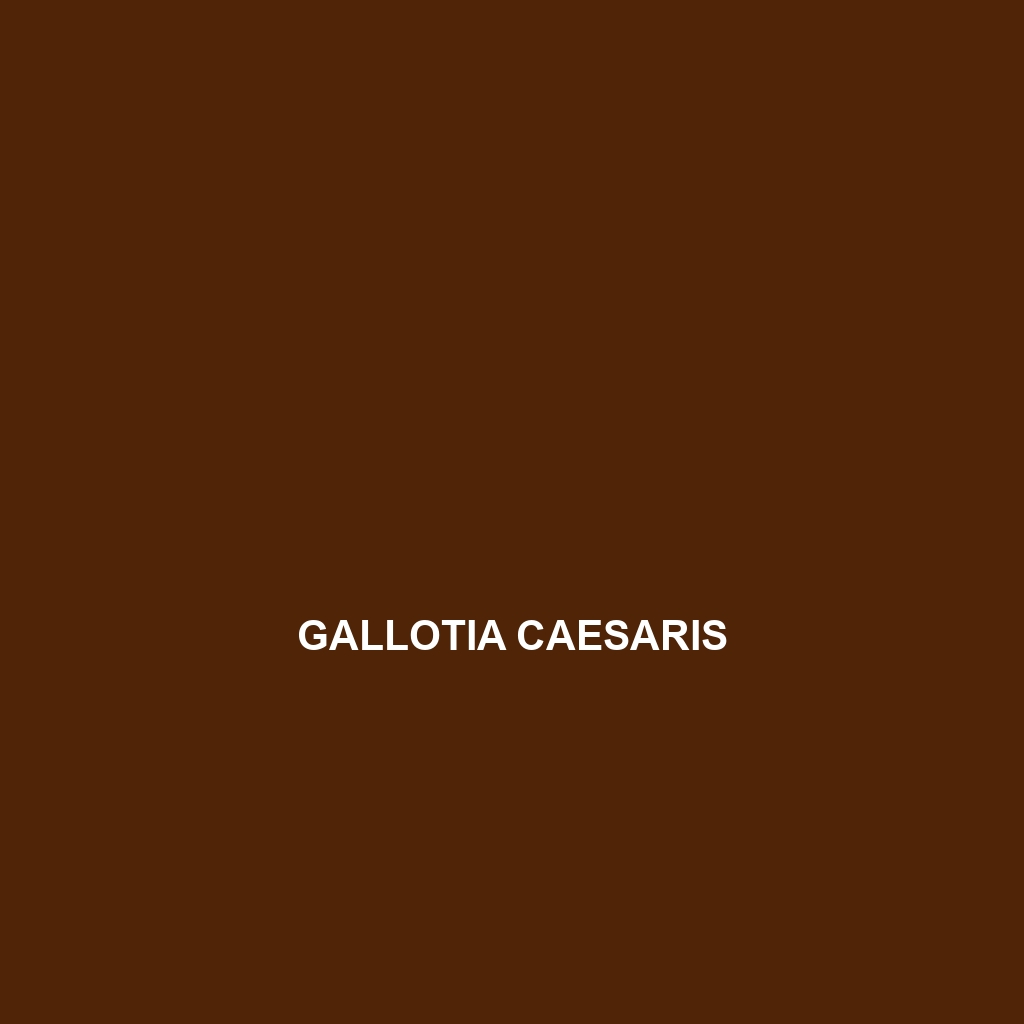 Gallotia caesaris