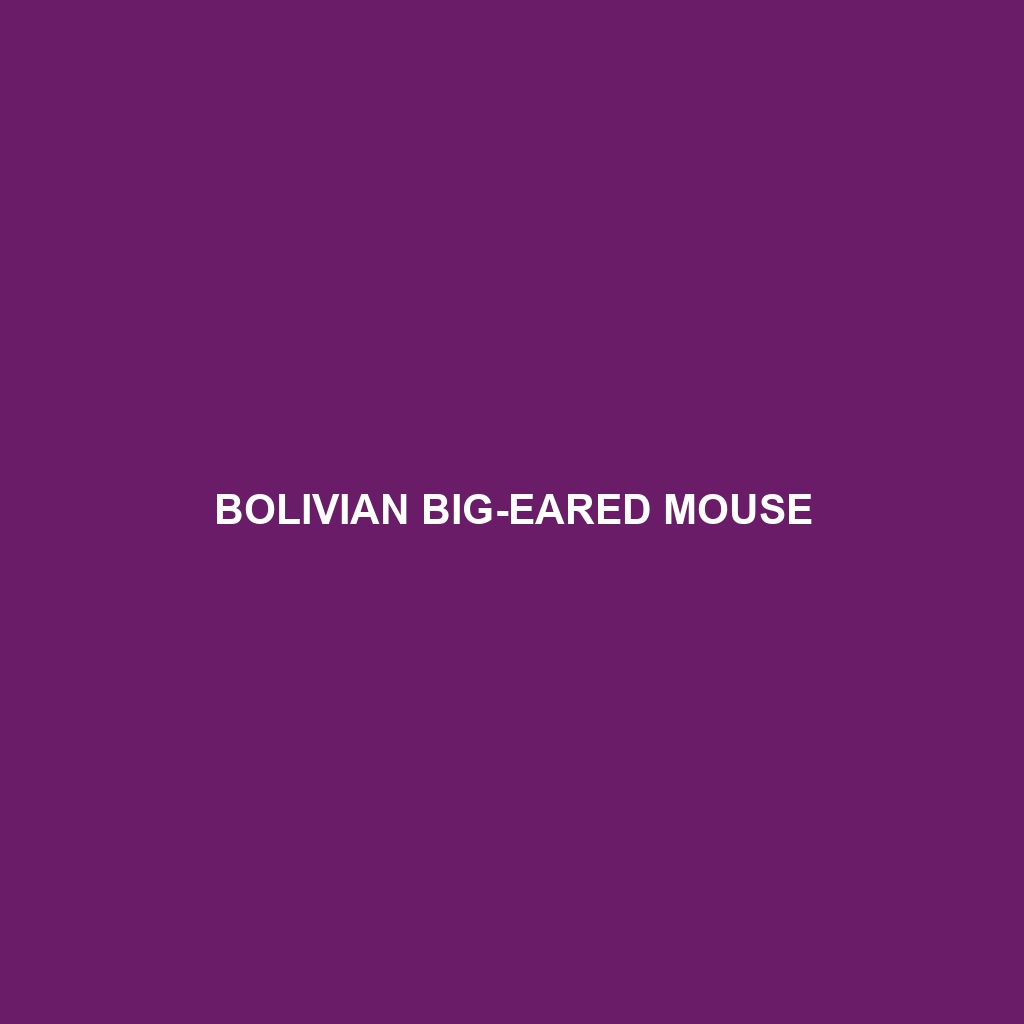 Bolivian Big-eared Mouse