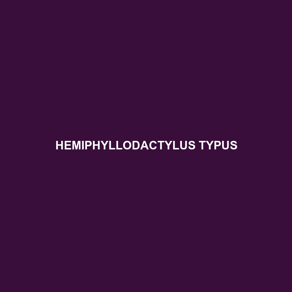 Hemiphyllodactylus typus