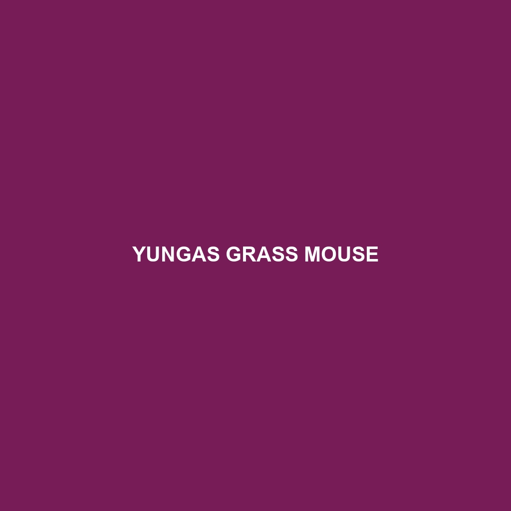 Yungas Grass Mouse