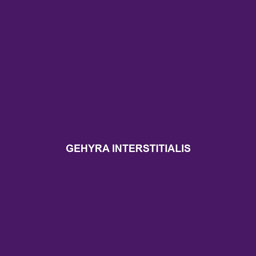 Gehyra interstitialis