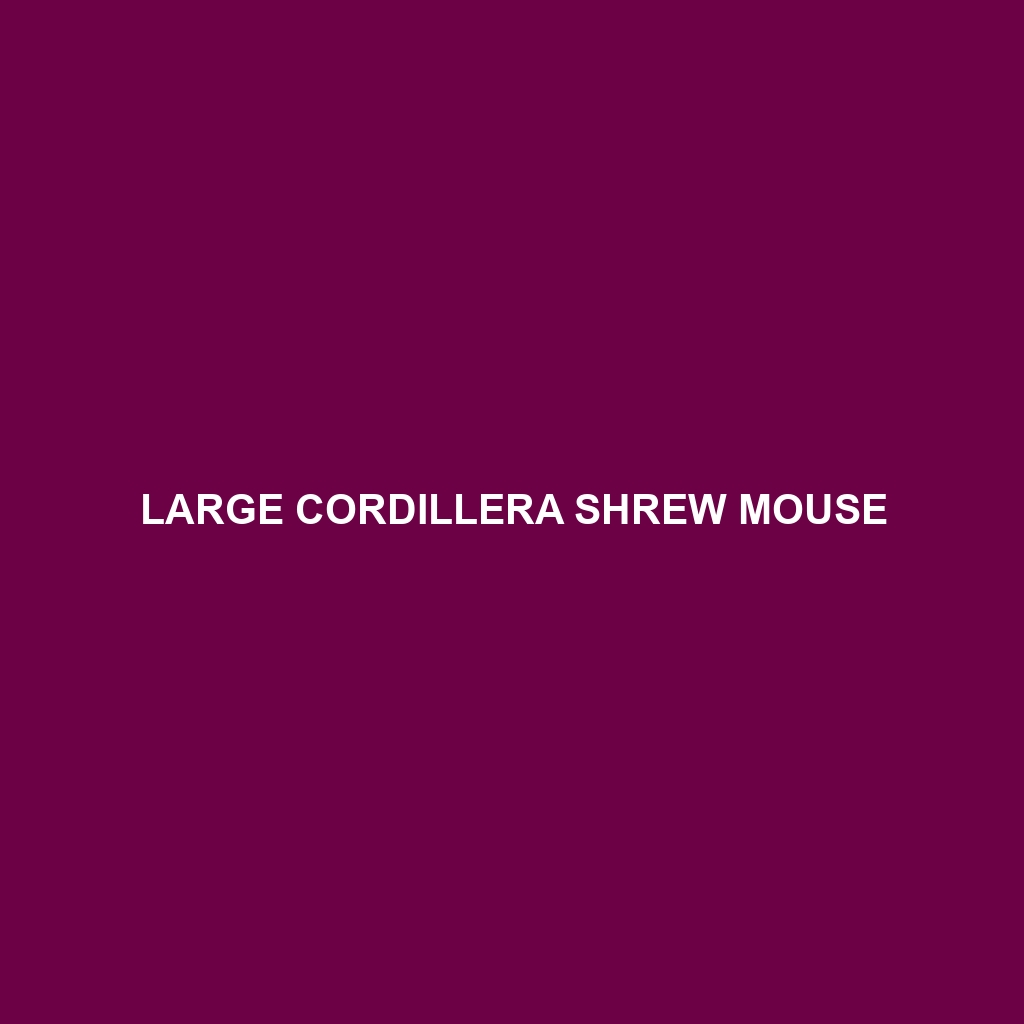 Large Cordillera Shrew Mouse