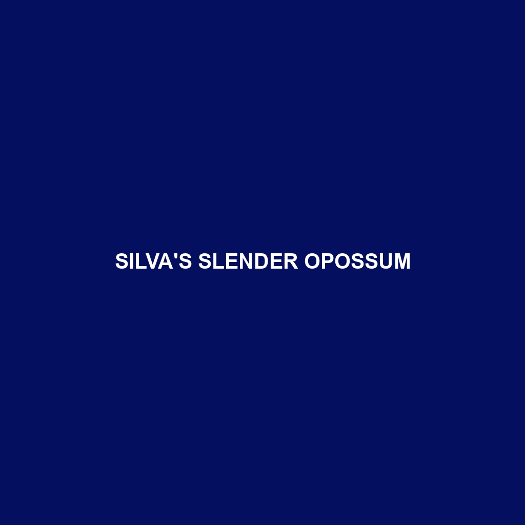 Silva's Slender Opossum