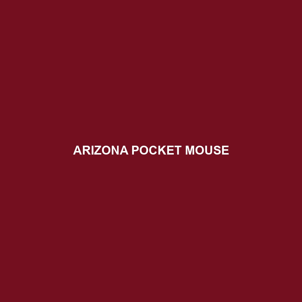 Arizona Pocket Mouse