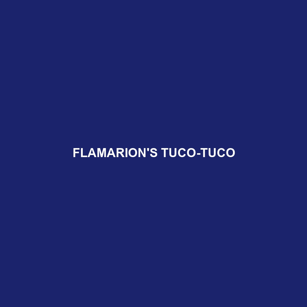 Flamarion's Tuco-tuco