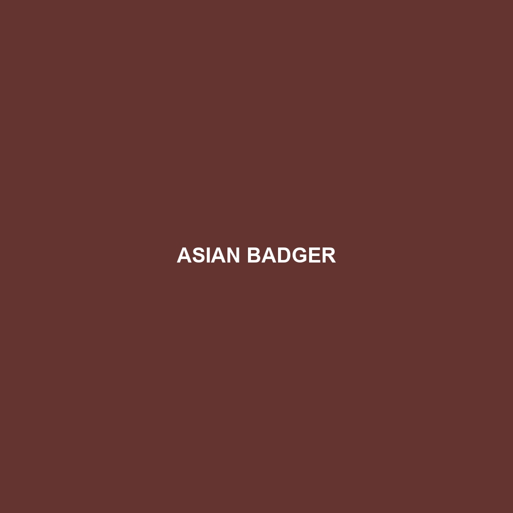 Asian Badger