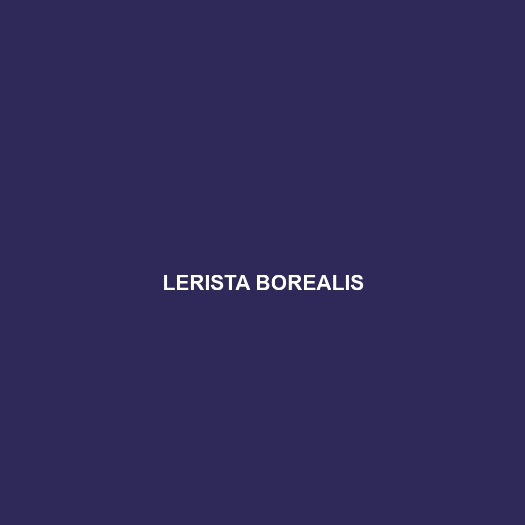 Lerista borealis