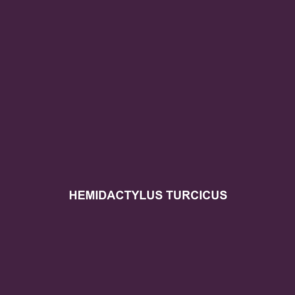 Hemidactylus turcicus