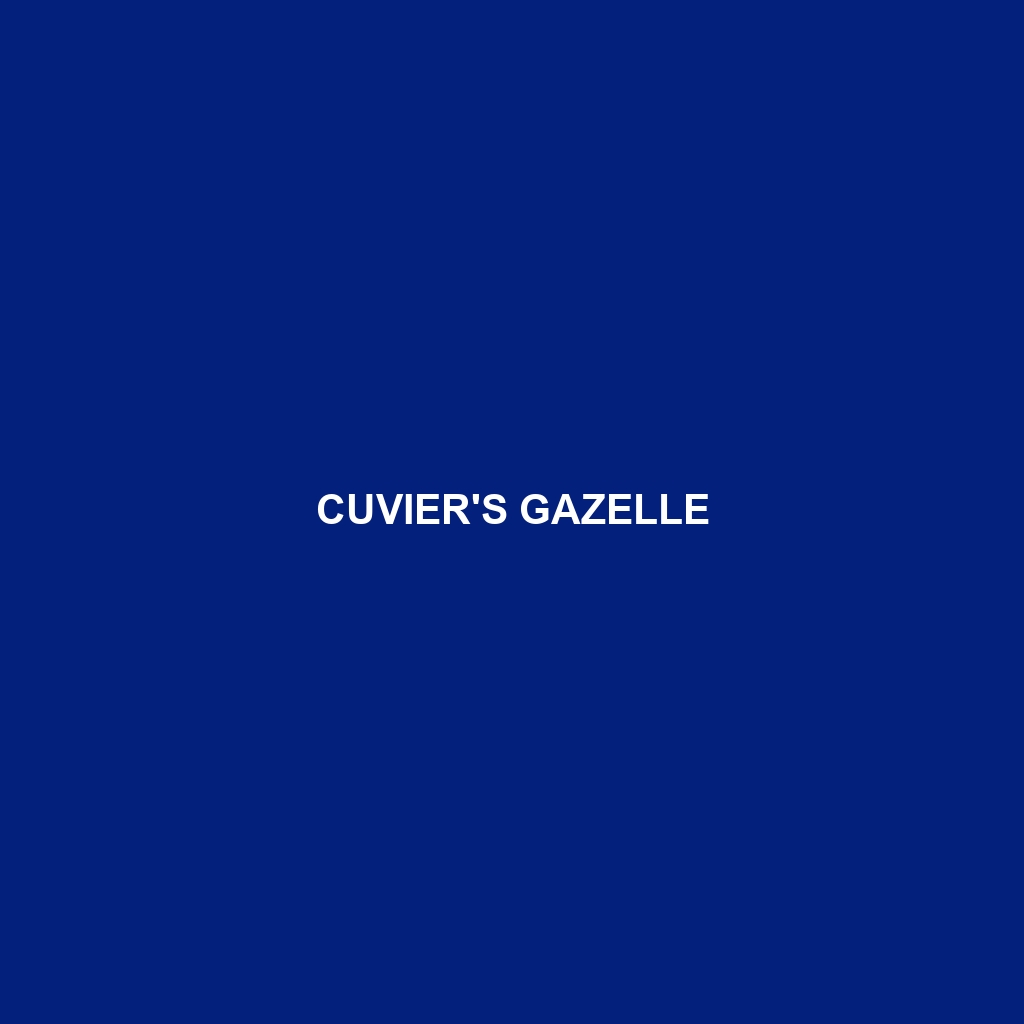 Cuvier's Gazelle