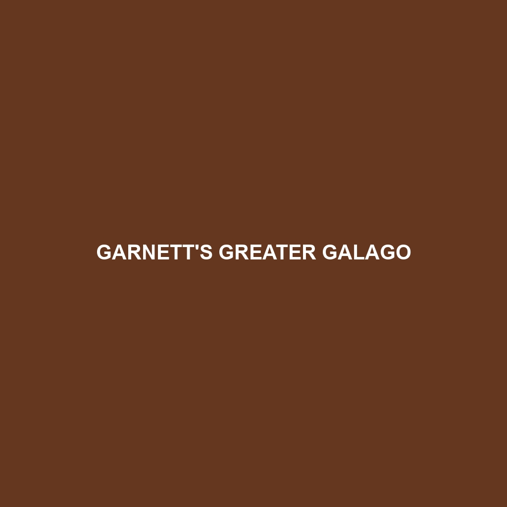 Garnett's Greater Galago