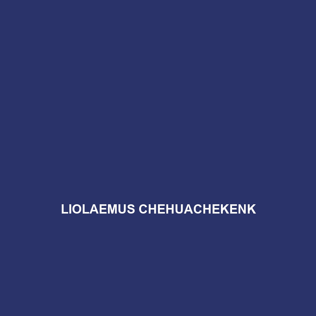 Liolaemus chehuachekenk