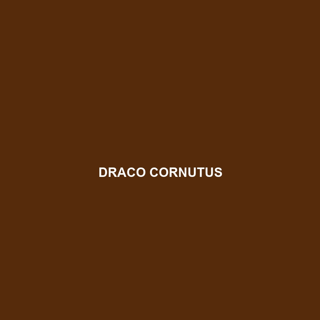 Draco cornutus