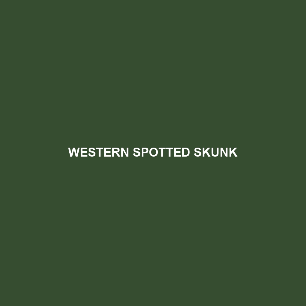 Western Spotted Skunk