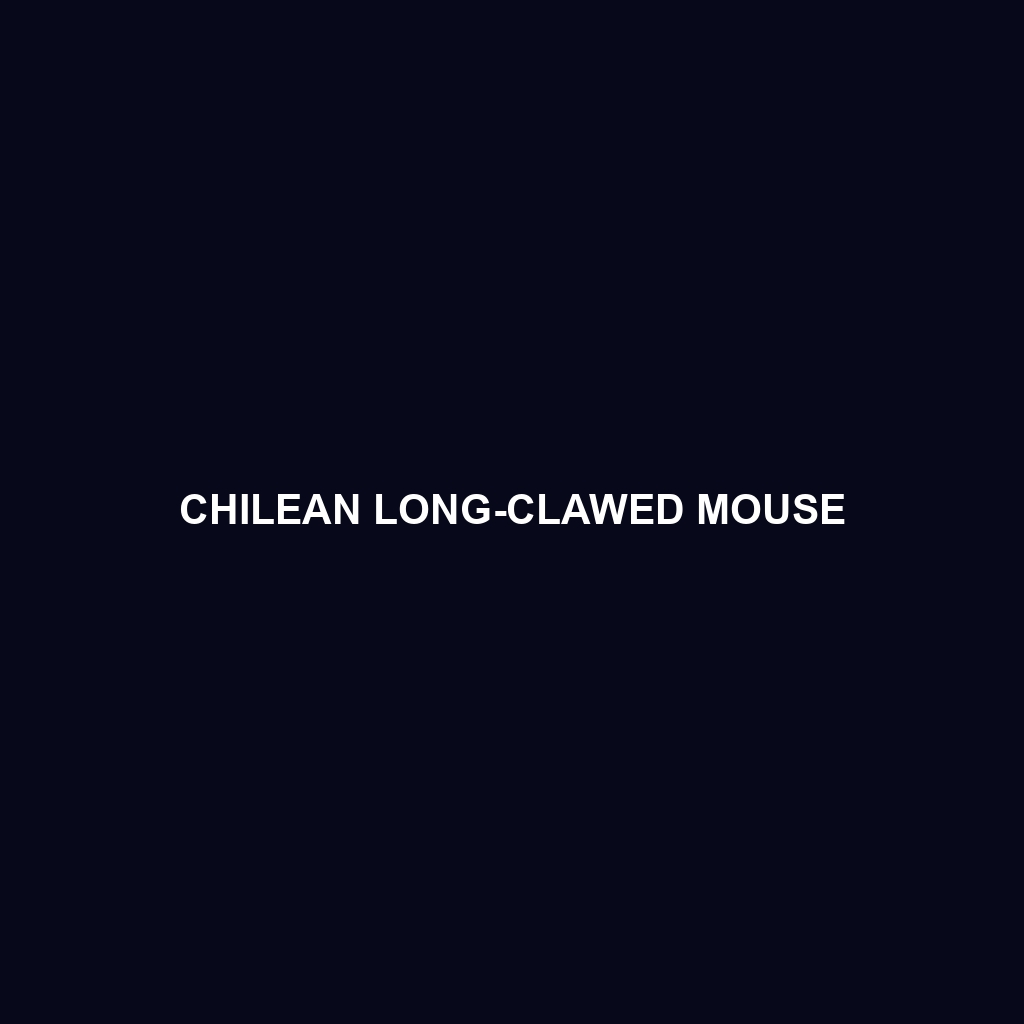 Chilean Long-clawed Mouse