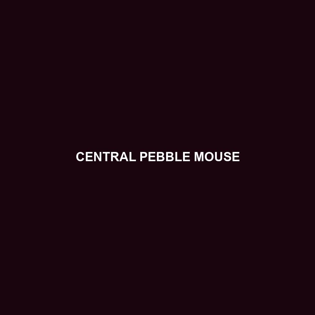 Central Pebble Mouse