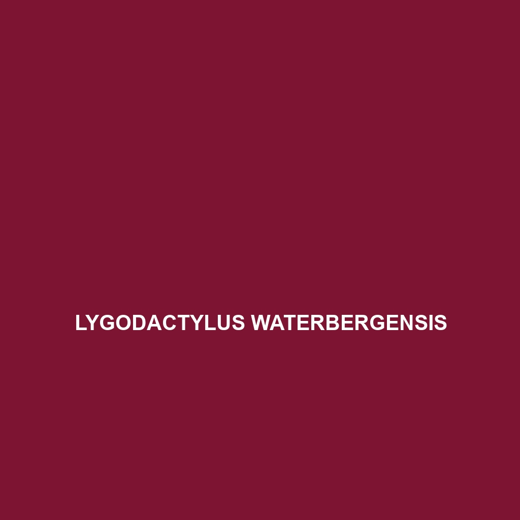 Lygodactylus waterbergensis