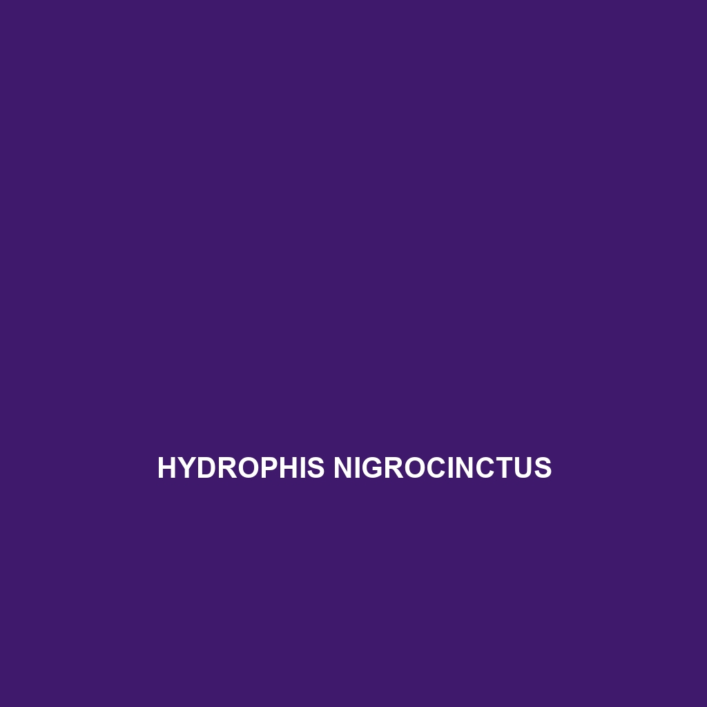 Hydrophis nigrocinctus