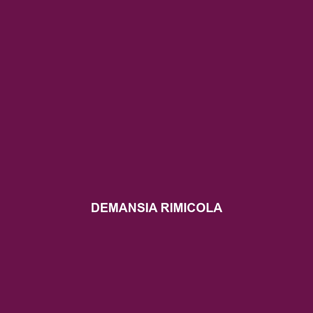 Demansia rimicola