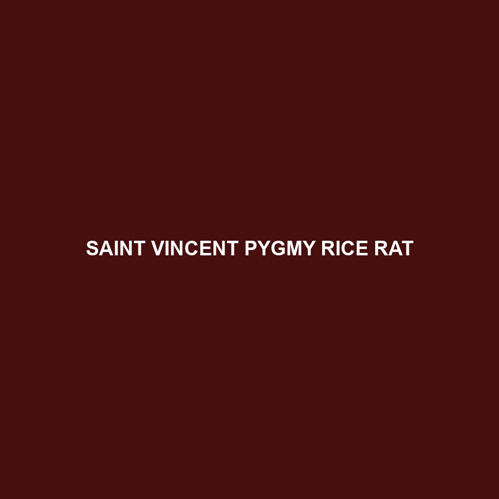 Saint Vincent Pygmy Rice Rat