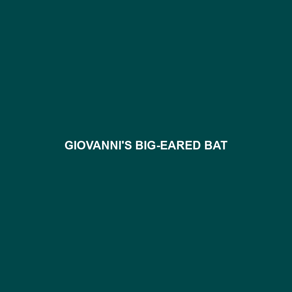 Giovanni's Big-eared Bat