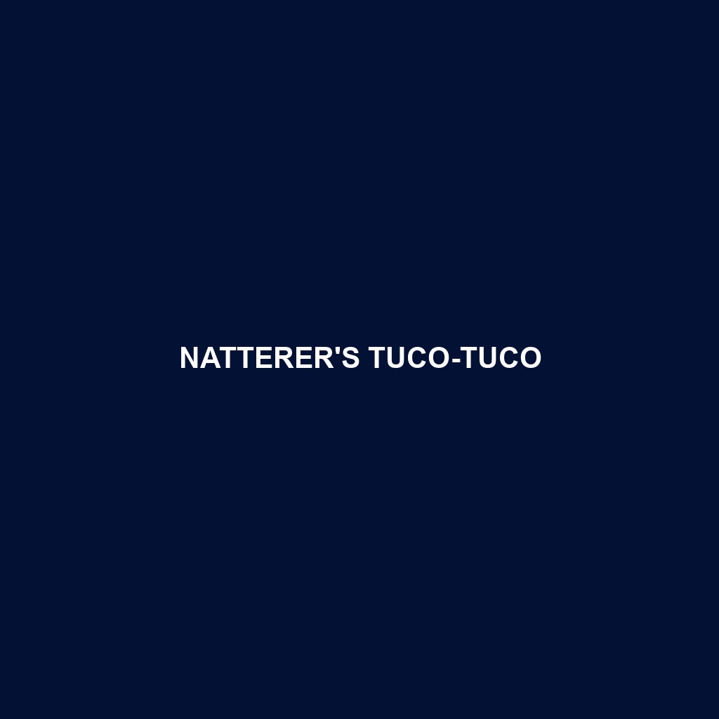 Natterer's Tuco-tuco