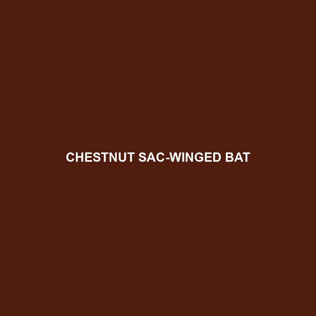 Chestnut Sac-winged Bat