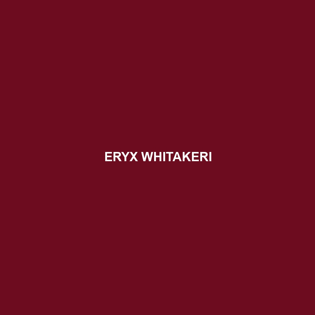 Eryx whitakeri