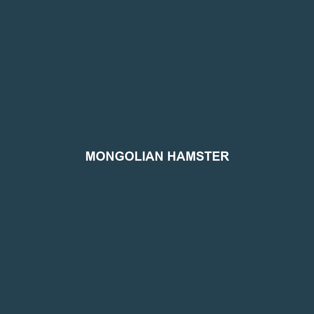 Mongolian Hamster