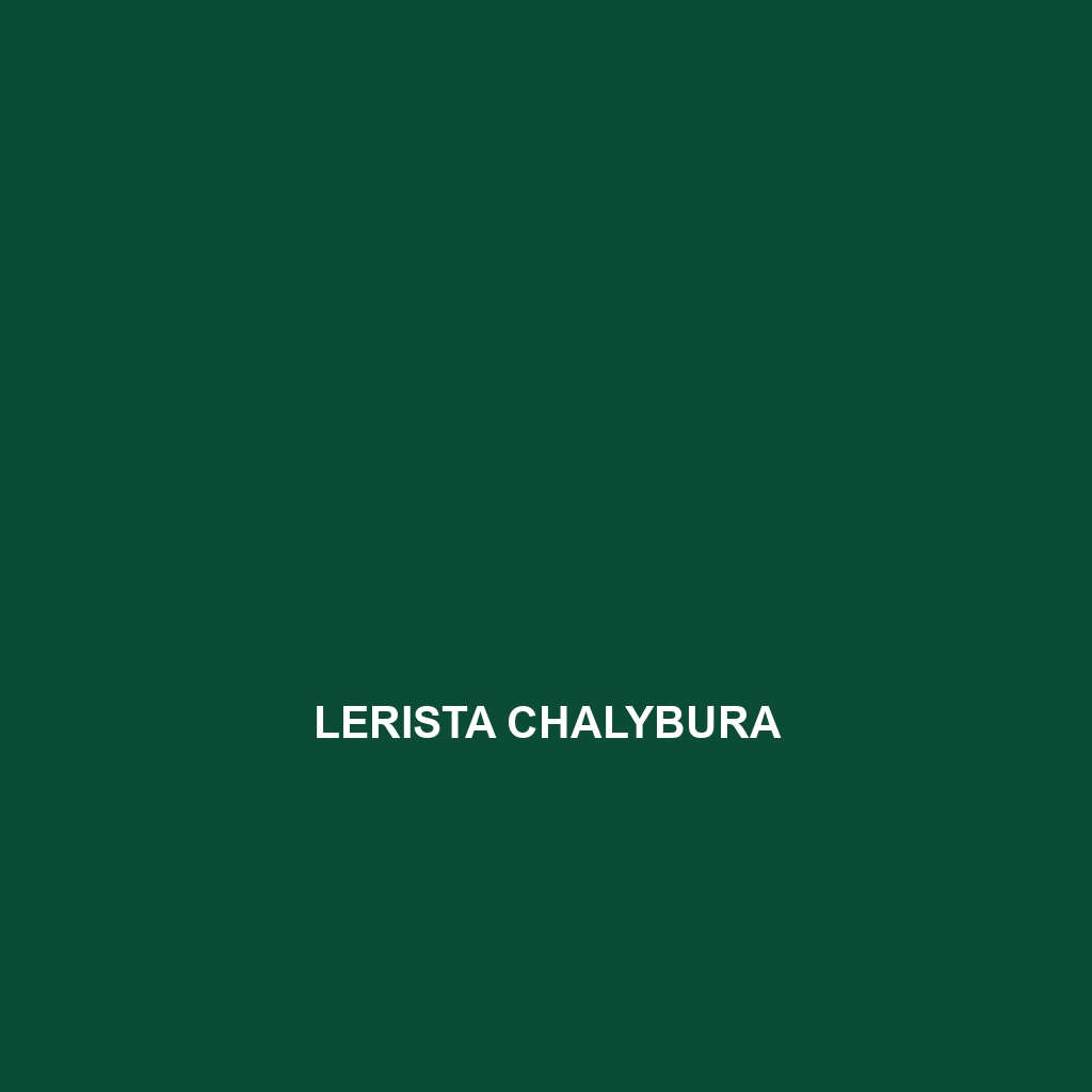 Lerista chalybura