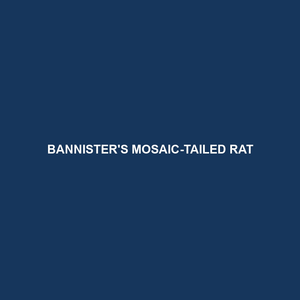 Bannister's Mosaic-tailed Rat