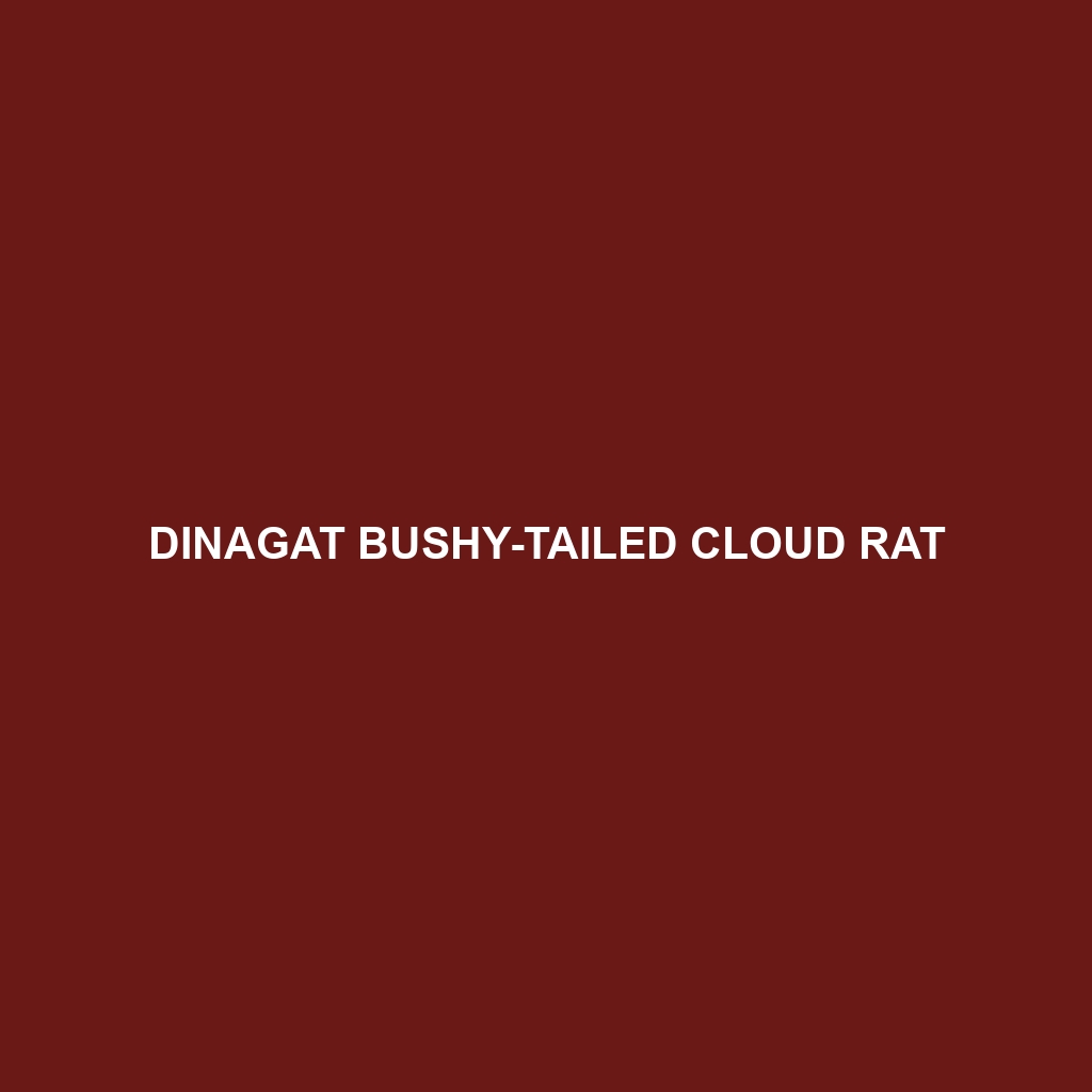 Dinagat Bushy-tailed Cloud Rat