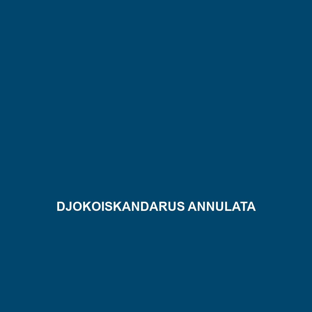 Djokoiskandarus annulata