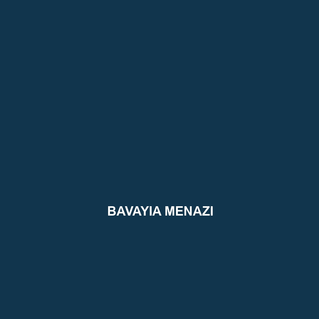 Bavayia menazi