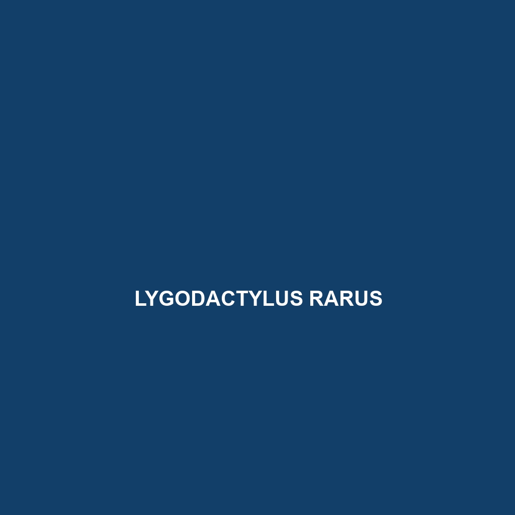 Lygodactylus rarus