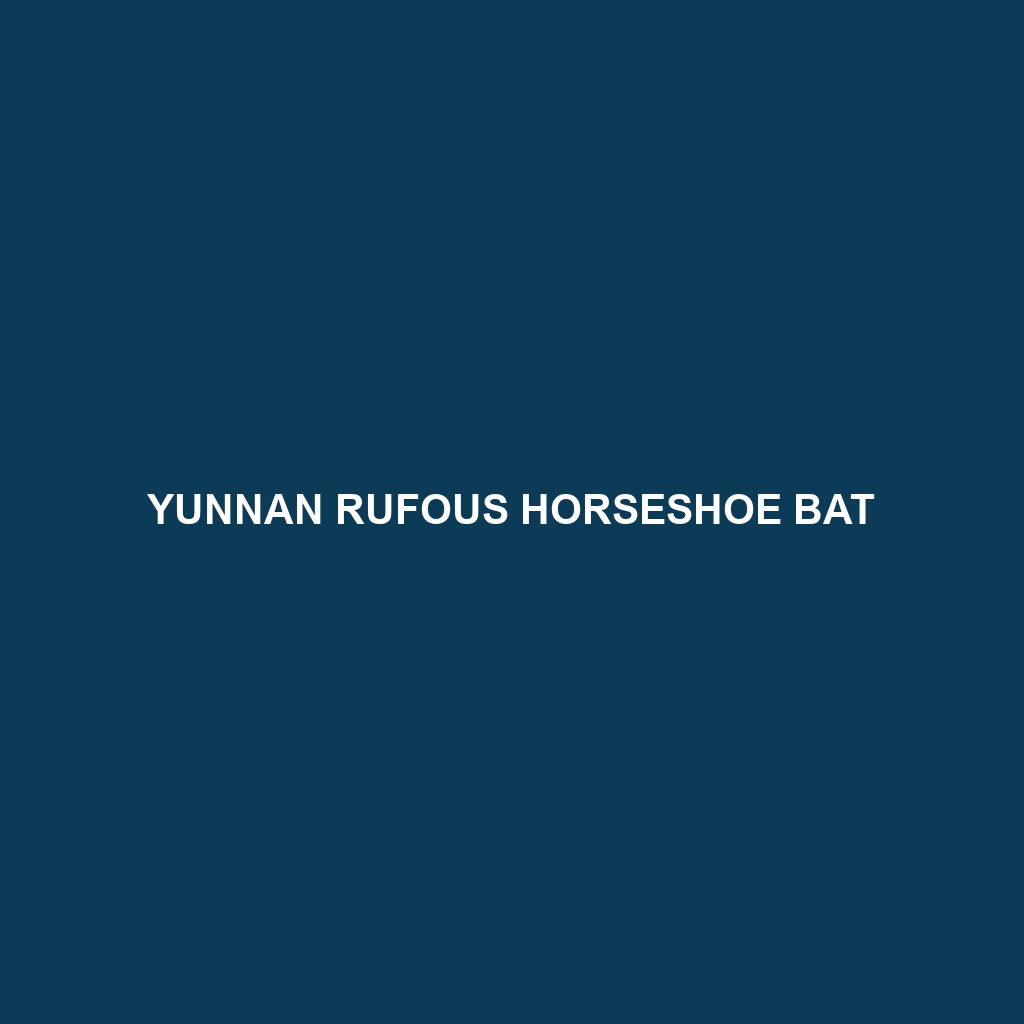 Yunnan Rufous Horseshoe Bat