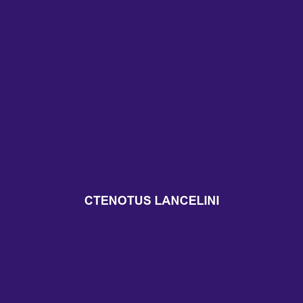 Ctenotus lancelini