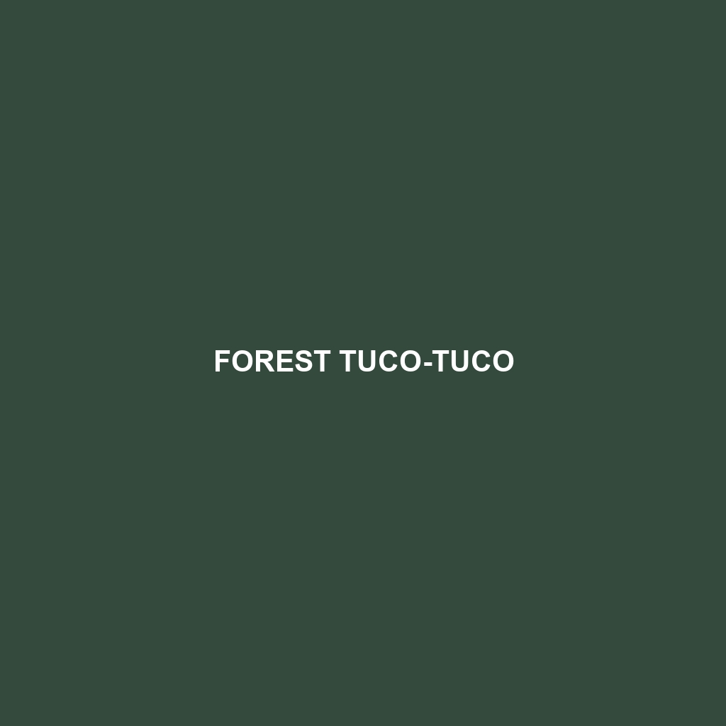 Forest Tuco-tuco