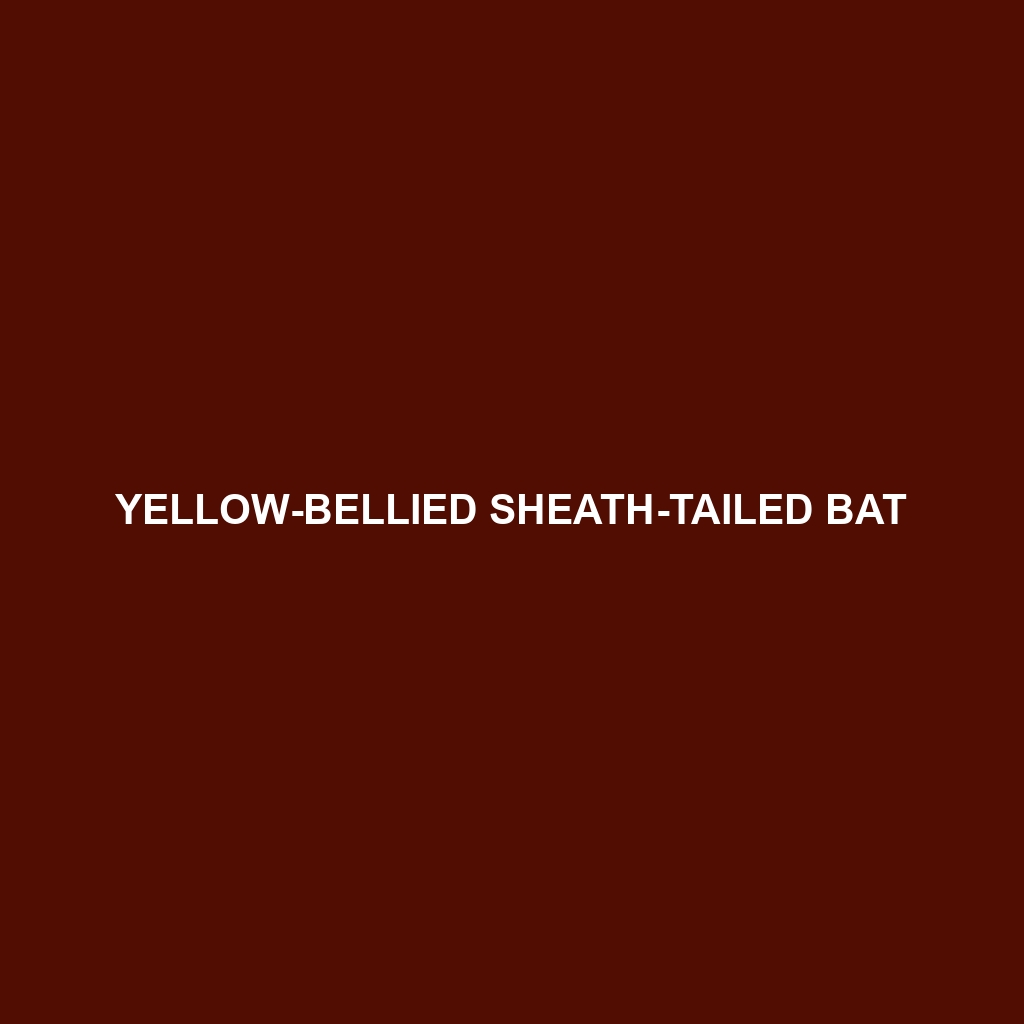 Yellow-bellied Sheath-tailed Bat