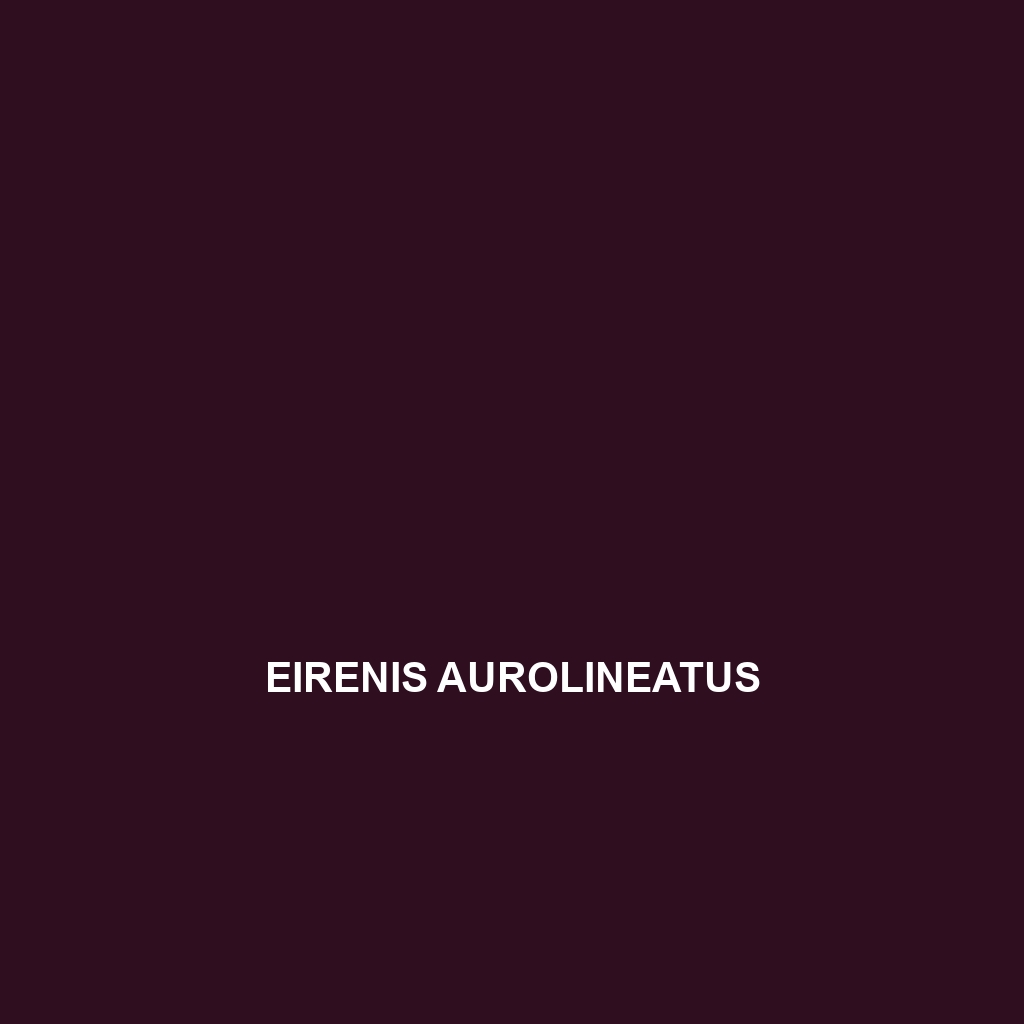 Eirenis aurolineatus