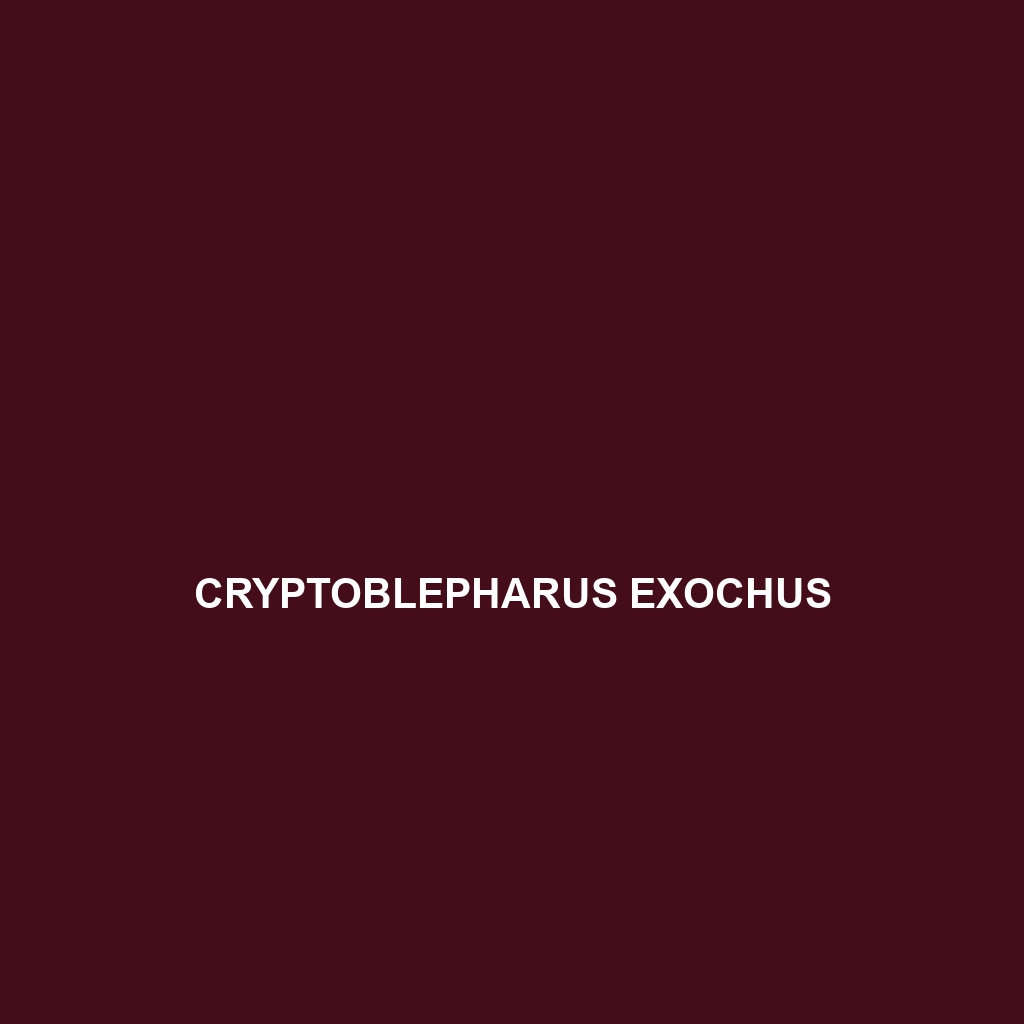 Cryptoblepharus exochus