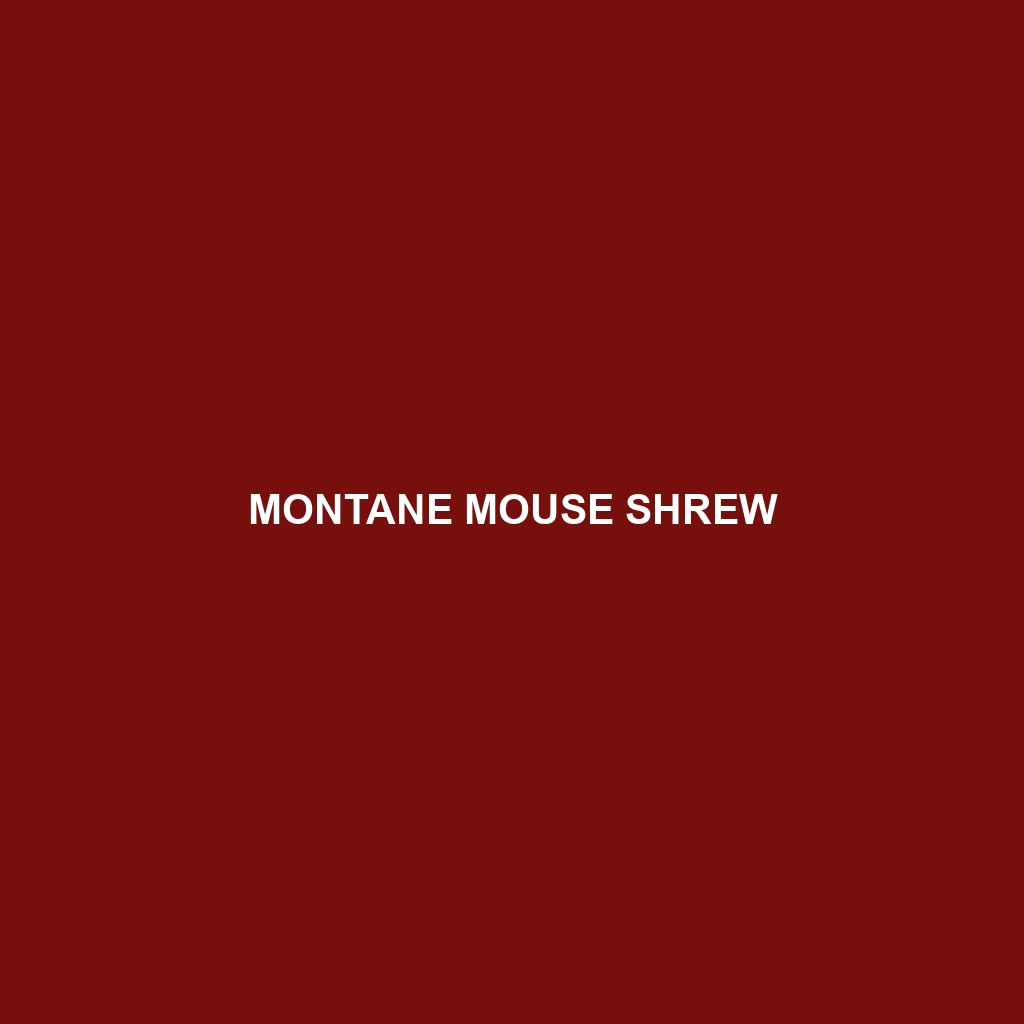 Montane Mouse Shrew