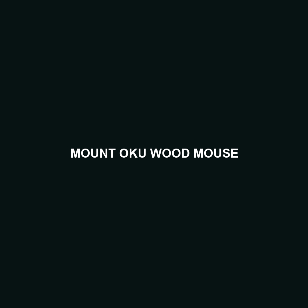 Mount Oku Wood Mouse