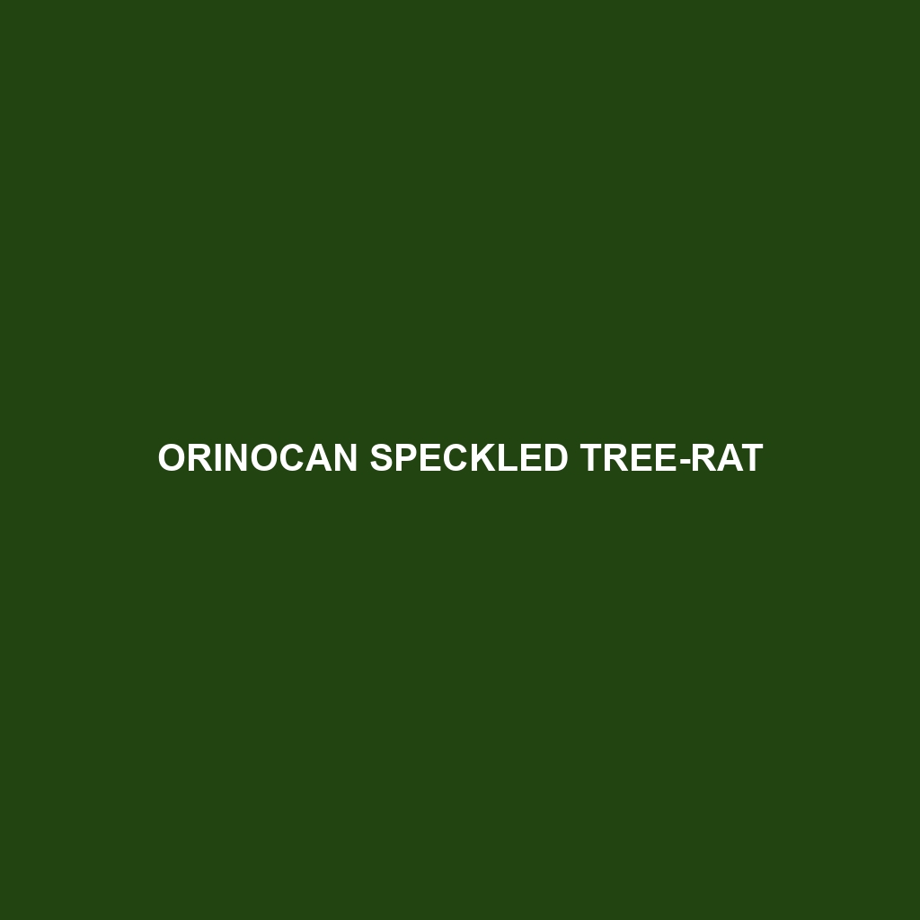 Orinocan Speckled Tree-rat