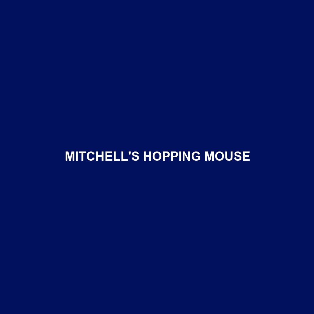 Mitchell's Hopping Mouse