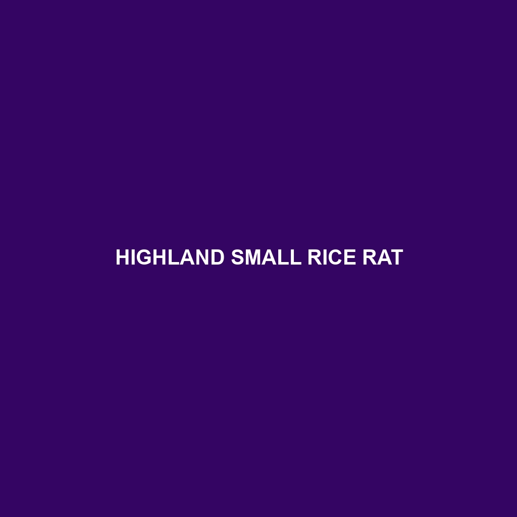 Highland Small Rice Rat