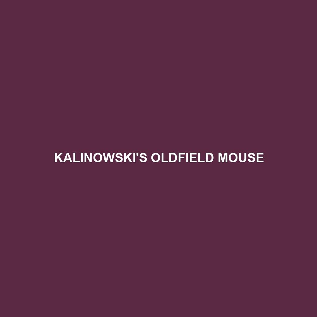 Kalinowski's Oldfield Mouse